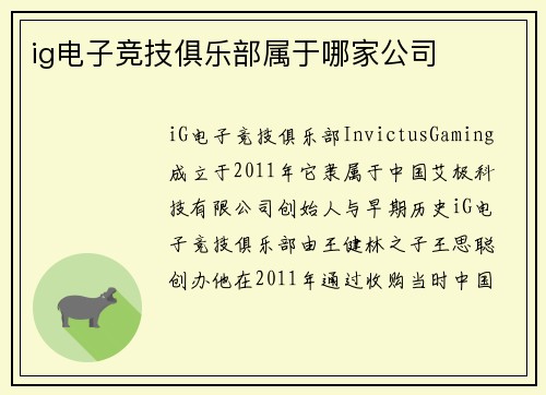 ig电子竞技俱乐部属于哪家公司