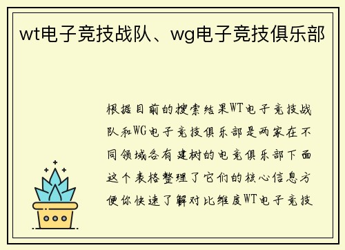 wt电子竞技战队、wg电子竞技俱乐部